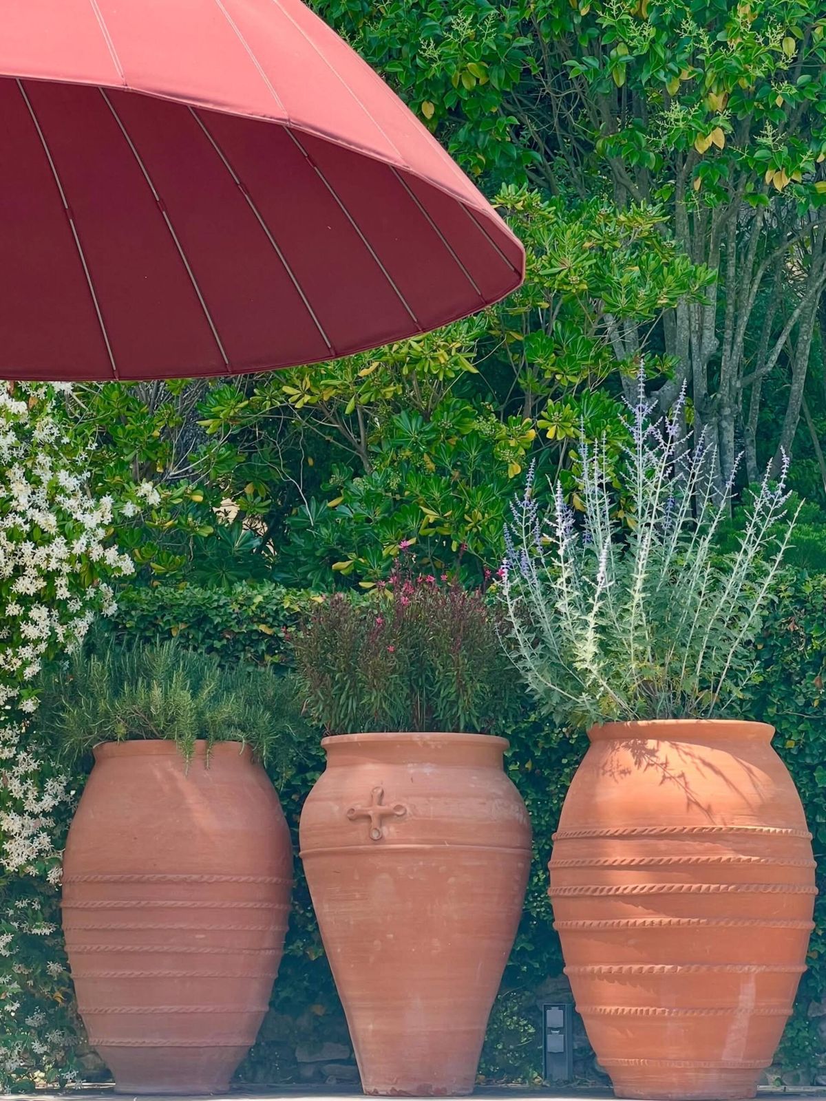 Jarres en terre cuite dans le jardin