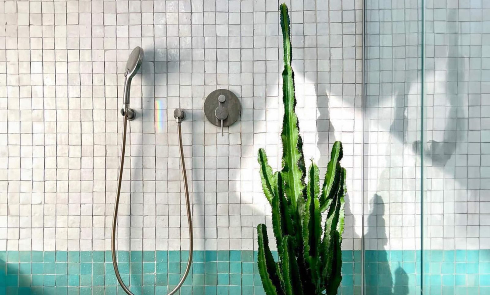 Douche en zellige avec cactus